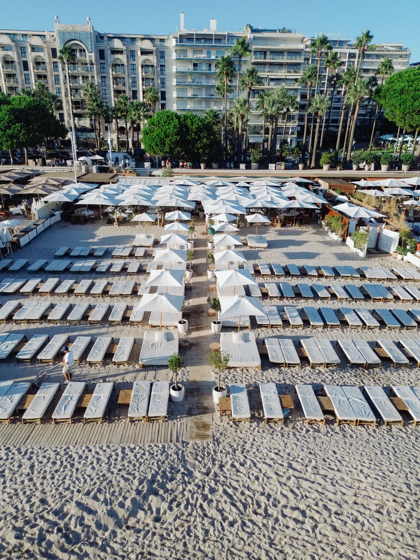 Rows of sunbeds and parasols