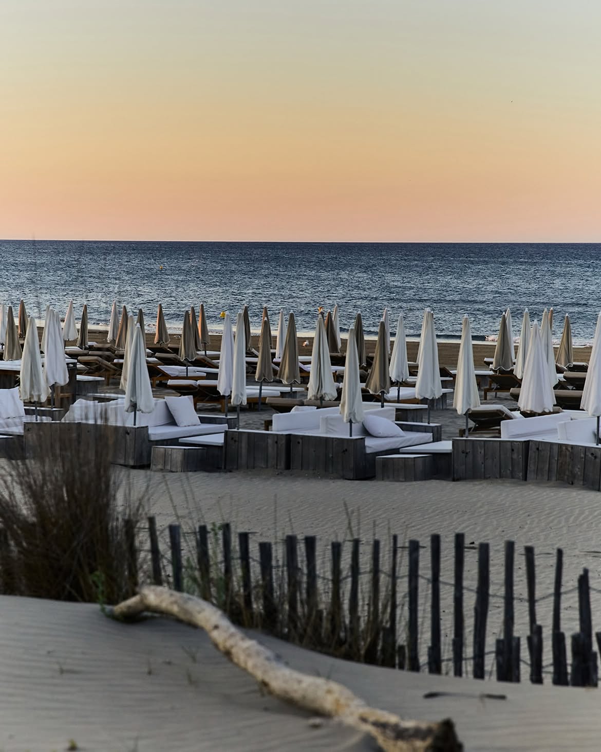 Beach umbrellas at dawn